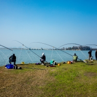 【釣魚技巧】 冬季釣魚小技巧